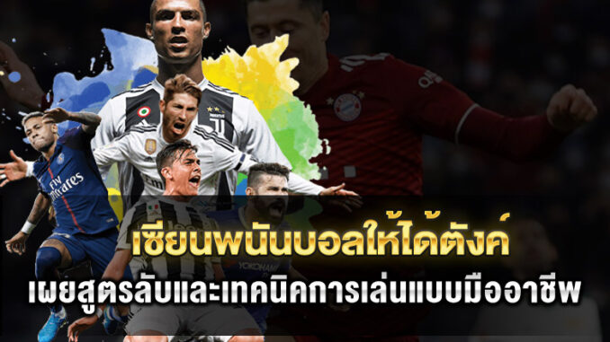 expert-betting-tips expert-betting-tips